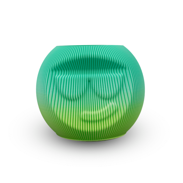 Filamento STLFLIX 1kg PLA Gradiente Verde